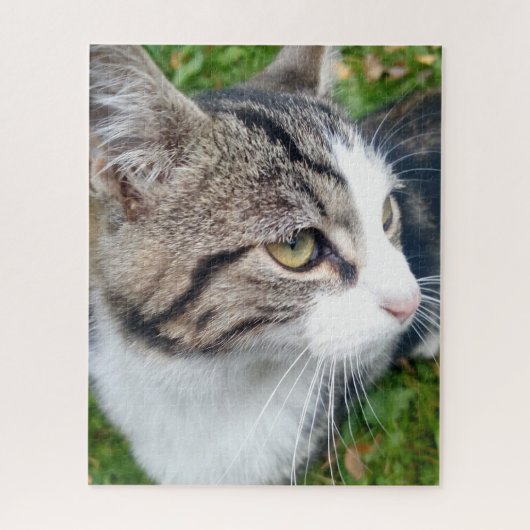 Kundenspezifisches großes Puzzlespiel mit 16 x 20 Puzzle (Vertikal)