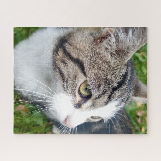 Kundenspezifisches großes Puzzlespiel mit 16 x 20 Puzzle (Horizontal)