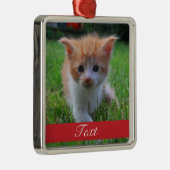 Kundenspezifisches Haustier-Foto und Name oder Silbernes Ornament (Rechts)