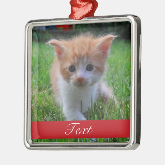 Kundenspezifisches Haustier-Foto und Name oder Silbernes Ornament (Links)