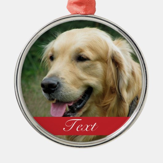 Kundenspezifisches Hundehaustier-Foto und Name Silbernes Ornament (Vorne)