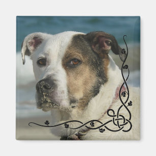 Kundenspezifisches Instagram Foto stellen Ihren Magnet