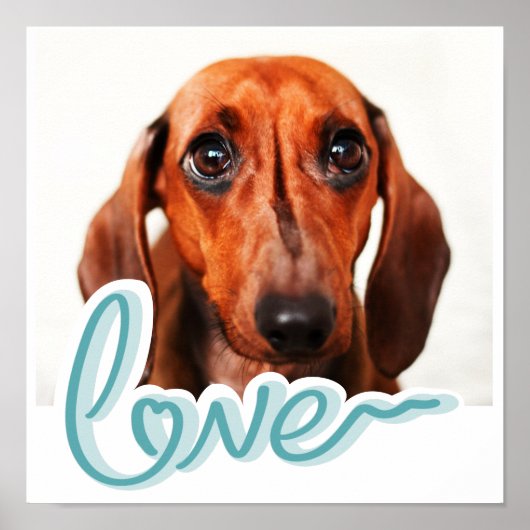 Kundenspezifisches Pet Poster mit moderner Blue Ty (Vorne)