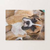 Kundenspezifisches Puzzle-Foto - Boxer-Hundezucht Puzzle (Horizontal)