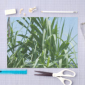 Kundenspezifisches Seidenpapier (Handwerk)