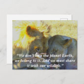 Kundenspezifisches Slogan/Konservierungslion-Fest Feiertagspostkarte (Vorne/Hinten)