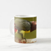 Kundenspezifisches Vogelgrün aracari toucan Kaffeetasse (Vorderseite Links)