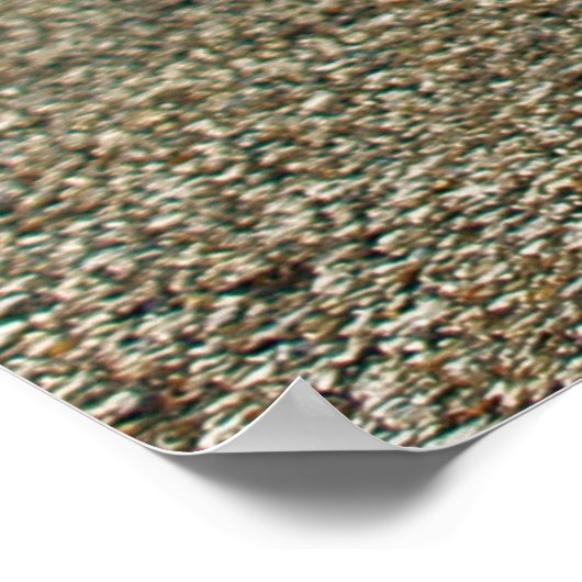 Kundgebung fertig poster (Ecke)