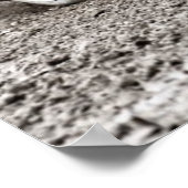 Kundgebung! Poster (Ecke)