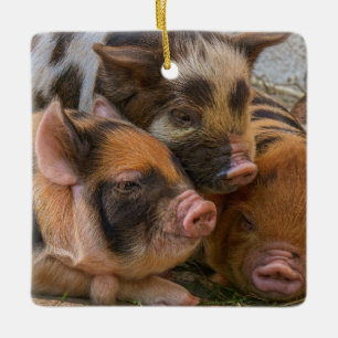 Kune-Ferkel Keramikornament