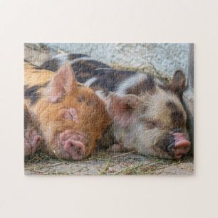 Kune-Ferkel Puzzle