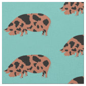 Kune Pig auf Aquamarinen Stoff (Nahaufnahme)