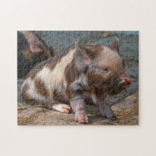 Kune Piglet Puzzle