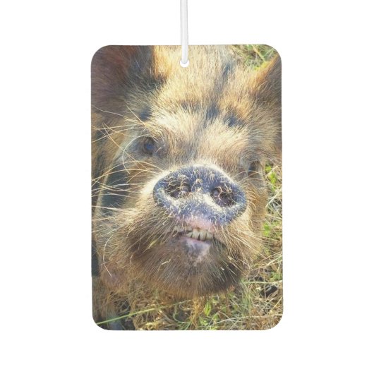KuneKune Pig Autolufterfrischer (Vorderseite)