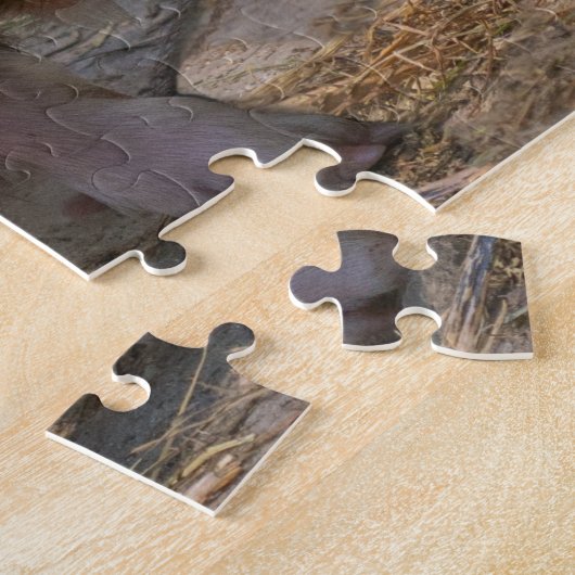 KuneKune Piglet Puzzle (Seite)