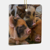KuneKune Piglets Keramikornament (Rechts)