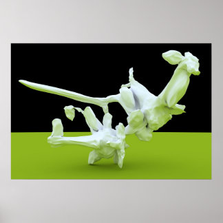 Kung-Fu-Kampf Poster