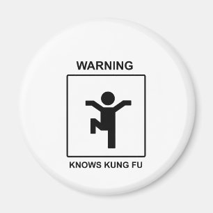 Kung Fu Magnet