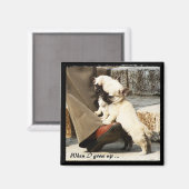 Kunming, China - lustige Hunde (Magnet) Magnet (Vorderseite/Rückseite)