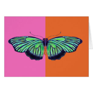Kunst-Deko Butterly mit colorblock