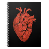 Kunst der Anatomie des Herzens Notizblock (Vorderseite)