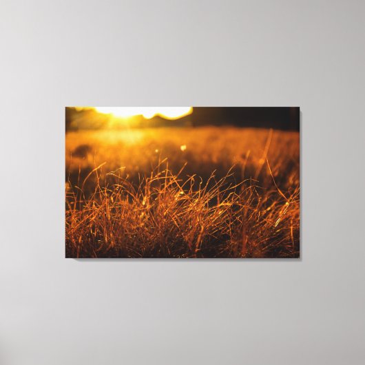 Kunst der Natur Leinwanddruck (Vorderseite)