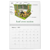 Kunst der Wissenschaft #4 Kalender (Feb 2027)