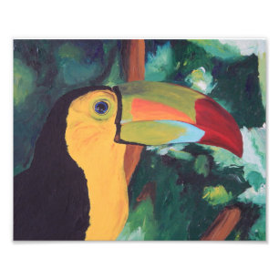 Kunst-Druck: Toucan Fotodruck