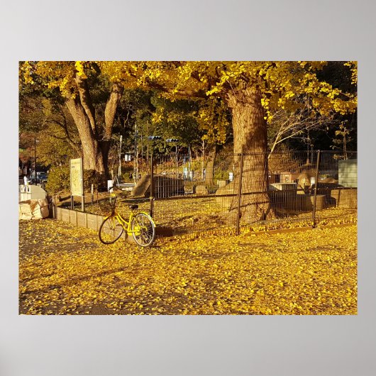 Kunst durch die Linse Poster (Vorne)