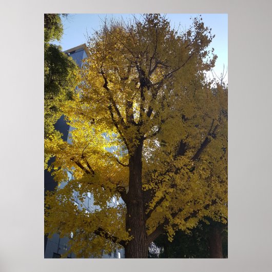 Kunst durch die Linse Poster (Vorne)