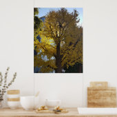 Kunst durch die Linse Poster (Küche)