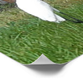 Kunst für Ihre Wände Poster (Ecke)