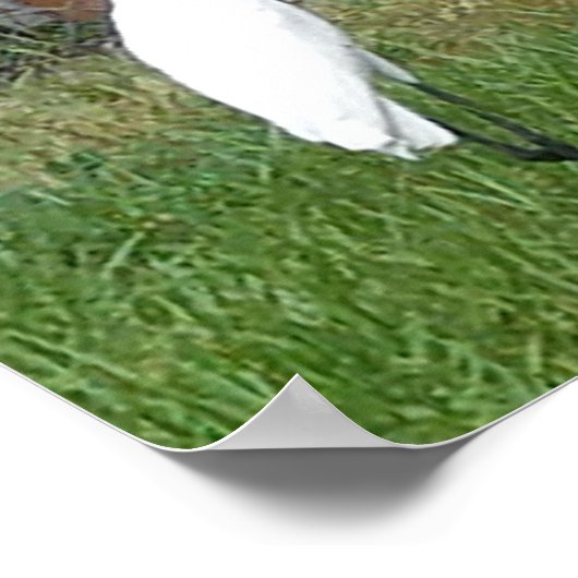 Kunst für Ihre Wände Poster (Ecke)