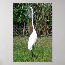 Kunst für Ihre Wände Poster