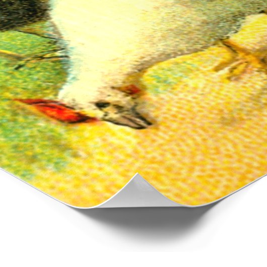 Kunst für Truthähne und Hühner Poster (Ecke)