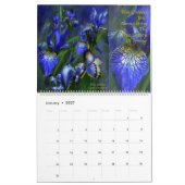 Kunst-Kalender der Iris-Sammlungs-2 Kalender (Jan 2027)