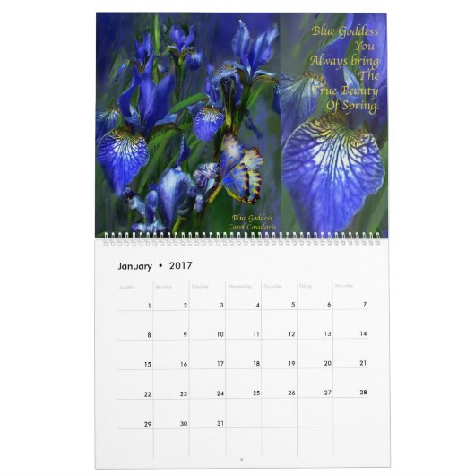 Kunst-Kalender der Iris-Sammlungs-2 Kalender (Jan 2017)