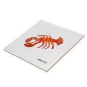 Kunst-Keramik-Fliese: John-Farbstoff-kornischer Fliese (Seite)