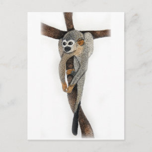 Kunst mit Kugelschreiber für Spinnenaffen Postkarte