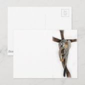 Kunst mit Kugelschreiber für Spinnenaffen Postkarte (Vorne/Hinten)