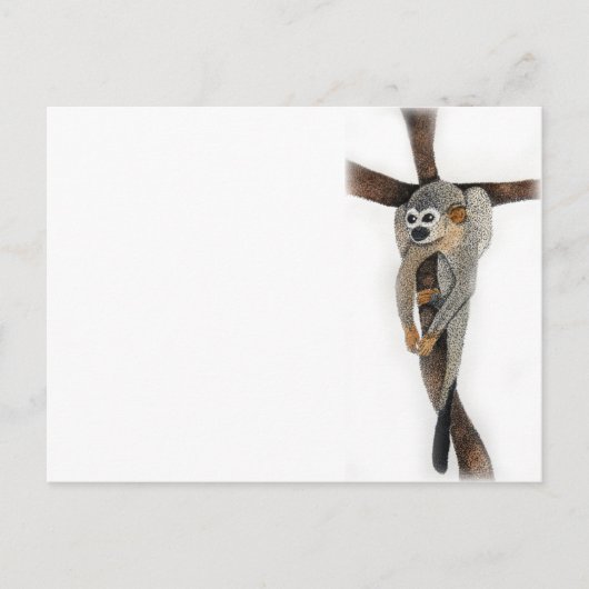 Kunst mit Kugelschreiber für Spinnenaffen Postkarte (Vorderseite)