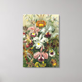 Kunst - Orchideen Leinwanddruck (Vorderseite)