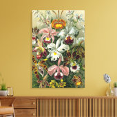 Kunst - Orchideen Leinwanddruck (Insitu (Wohnzimmer))