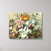 Kunst - Orchideen Leinwanddruck (Vorderseite)