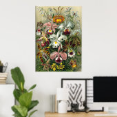 Kunst - Orchideen Poster (Heimbüro)