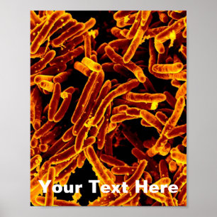 Kunst-Plakat-Leinwand der Biologiemikrobiologie Poster