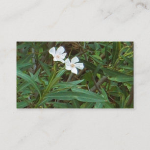 KUNST- UND DESIGN-GESCHÄFTSKARTEN VISITENKARTE