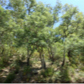 KUNST- UND DESIGN-Schlüsselanhänger Schlüsselanhänger