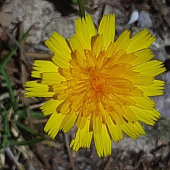 KUNST- UND DESIGN-Schlüsselanhänger Schlüsselanhänger