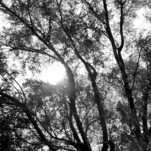 KUNST- UND DESIGN-Schlüsselanhänger Schlüsselanhänger